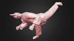 Chiken back kick