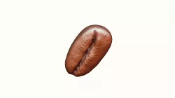 Coffee Bean