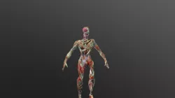 Decayed Character2