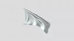Flag Loop
