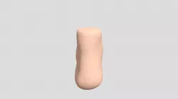 Foot
