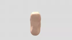 Foot Model