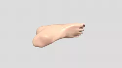 foot