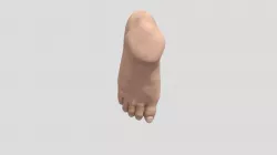 Foot Sculpt