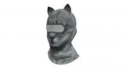 Gray Cat