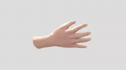 Hand