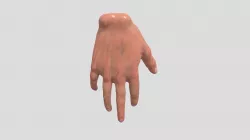 Hand Sculpt