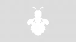 Hormiga