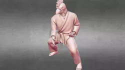 Karate Chicken Chop