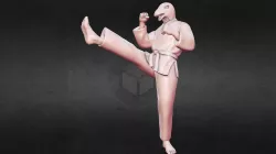 karate Snake Front Kick