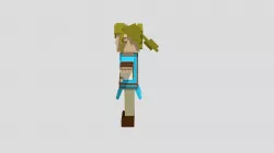 Link Minecraft