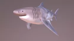 Megalodon