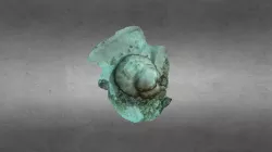 Model#5- Porites Bleaching