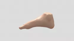 My Foot