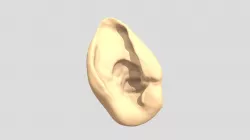 Oreja Elfo