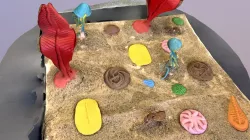 PICJ Project - Ediacaran Biota