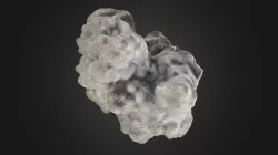 Porite