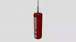 Punching Bag