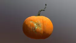 Ramsgate Ranch Long Stem Pumpkin