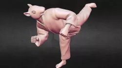 Rat Back Kick