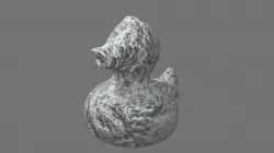 Rockduck