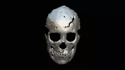 Skull mask