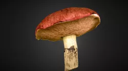 Slippery jack (mushroom)