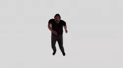 Swing