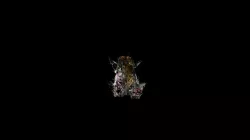 TEST02