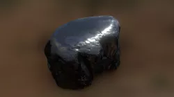 Unknown Fossil