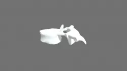 Vertebra T4