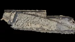 Yacimiento La Custodia VIANA - Modelo completo