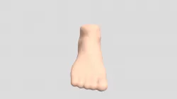 ZBrush Foot Model