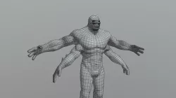 Animation