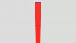 Bio