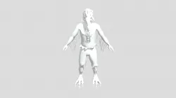 Bird Man