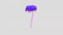 brain stick