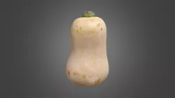 Butternut