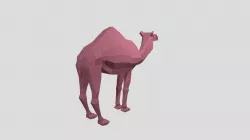 Camel