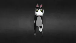 Cat Model