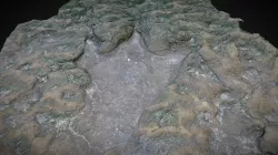 Dino footprint found on the Isle of Skye
