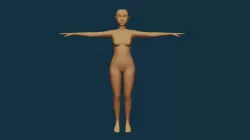 Female Basemesh - Rigged