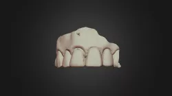 G13#8wax1scan2 Upper Jaw