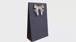 Gift paper bag
