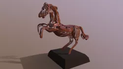 Horse LHS
