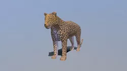 Low Poly Cartoon Leopard