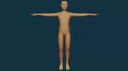 Male Basemesh - Rigged