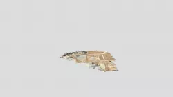 mesh-bef8ec01-9979-4871-b5db-fff9baa0fe6c