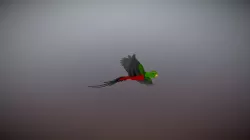 Quetzal-2013mr07