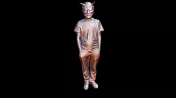 Refine Mesh